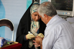 بزرگداشت روز جهانی قلب در پارک ملت تهران